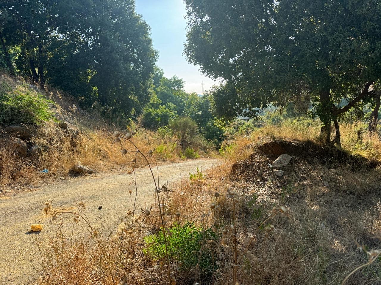 Land