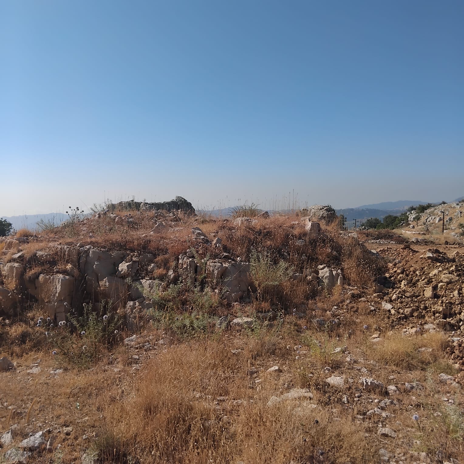 Land