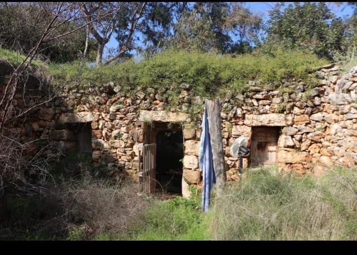 Land