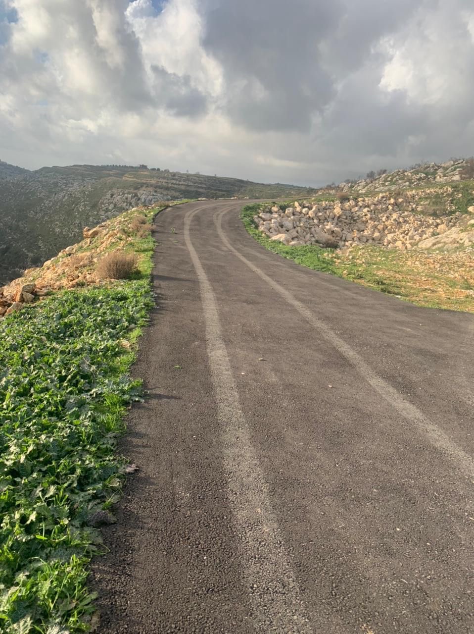 عمار او استثمار