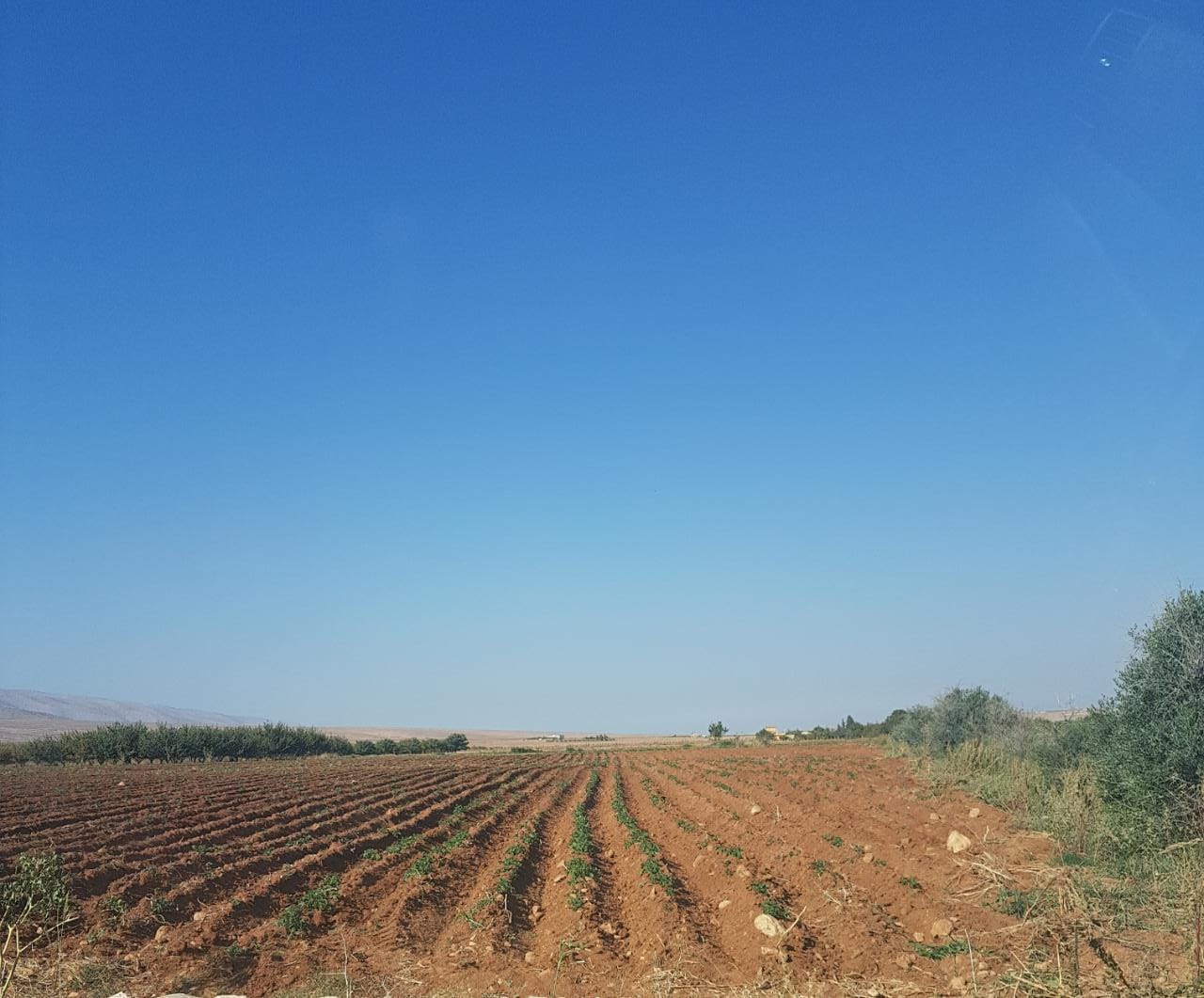 أراضي لقطة إبتداءً من 3 دولار للمتر