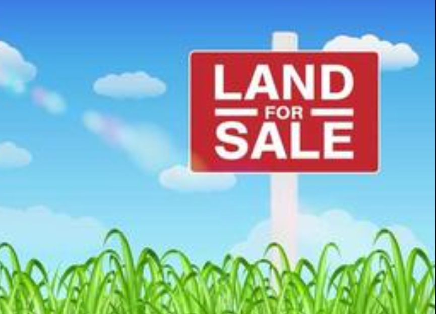 land