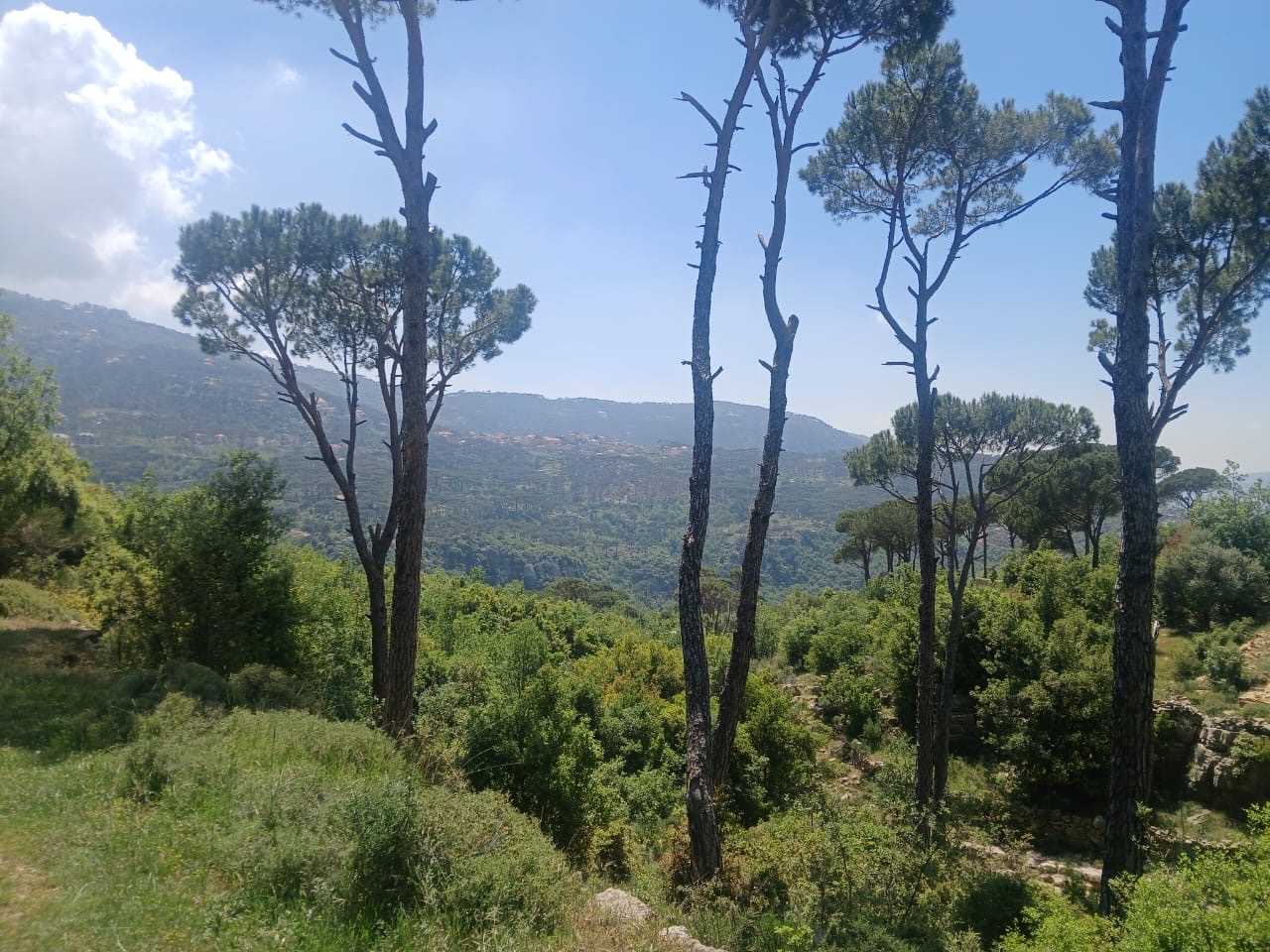 Land