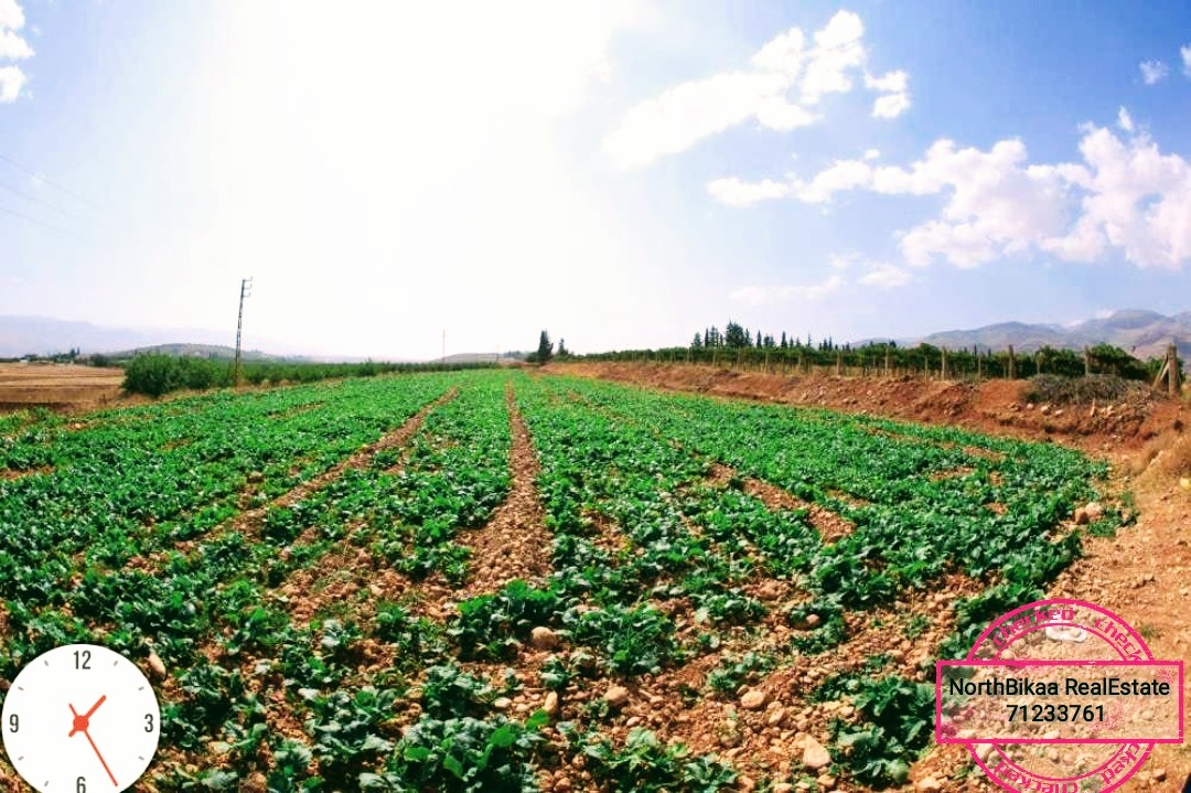 أراضي لقطة إبتداءً من 3 دولار للمتر