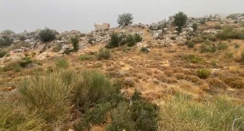Land