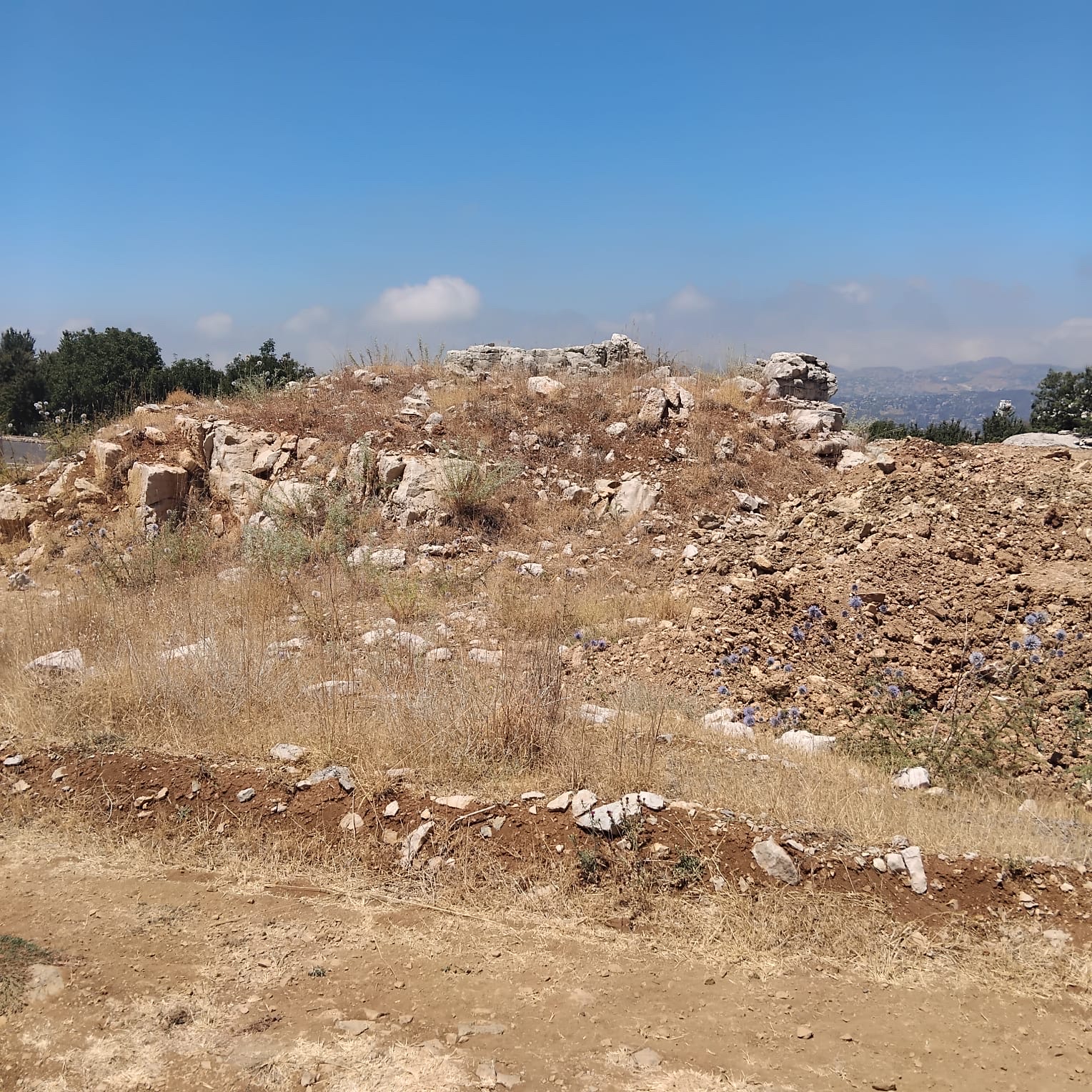Land