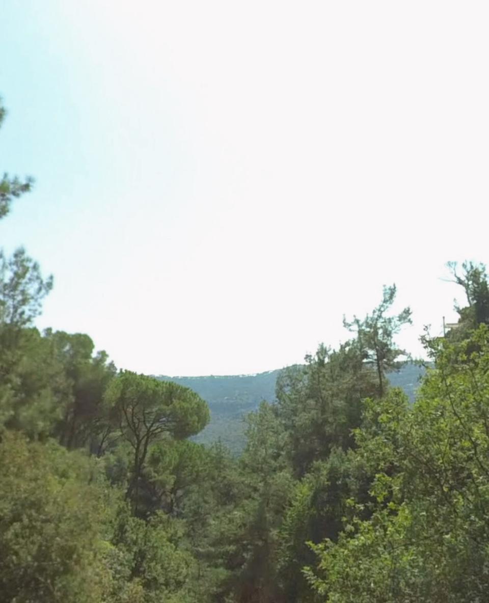 Land