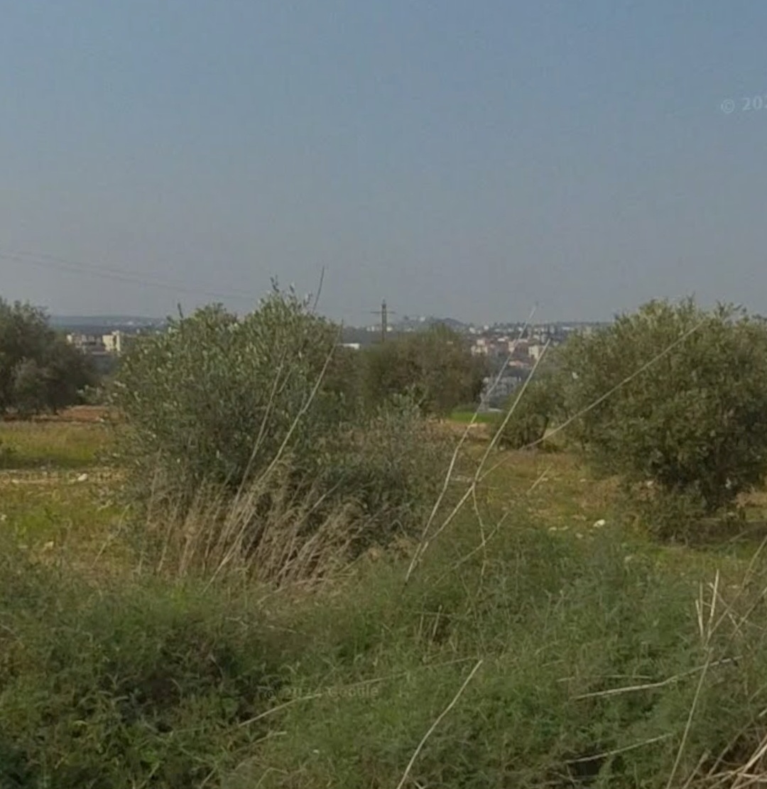 Land