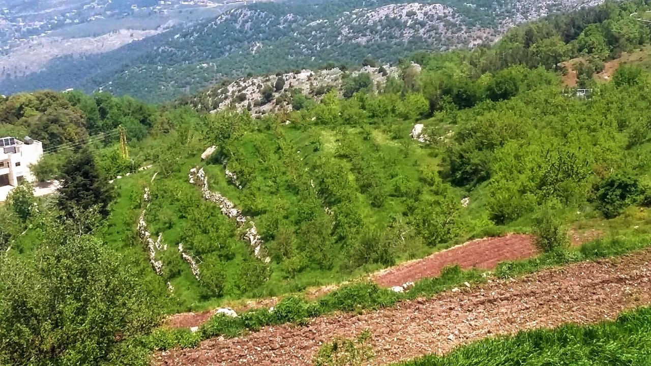 Land