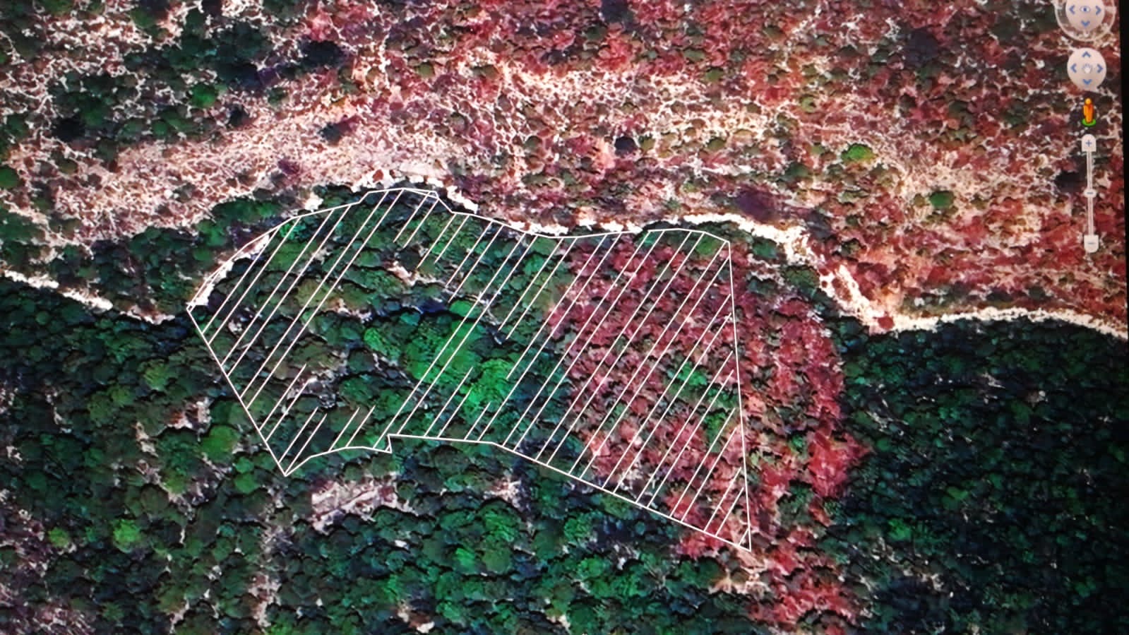 Land