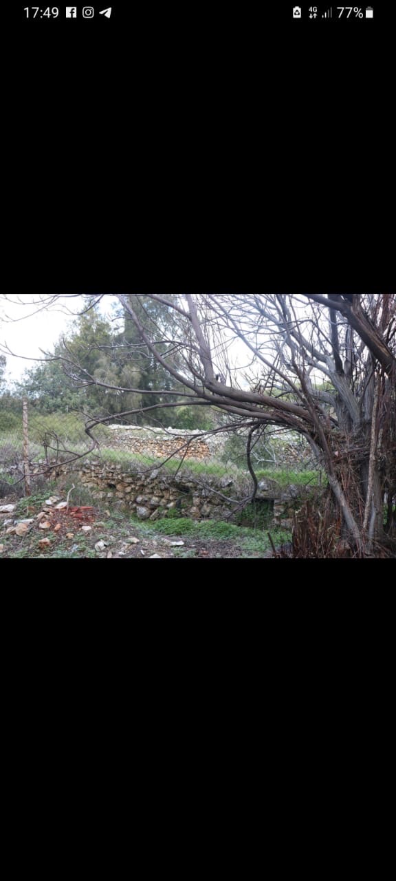 Land