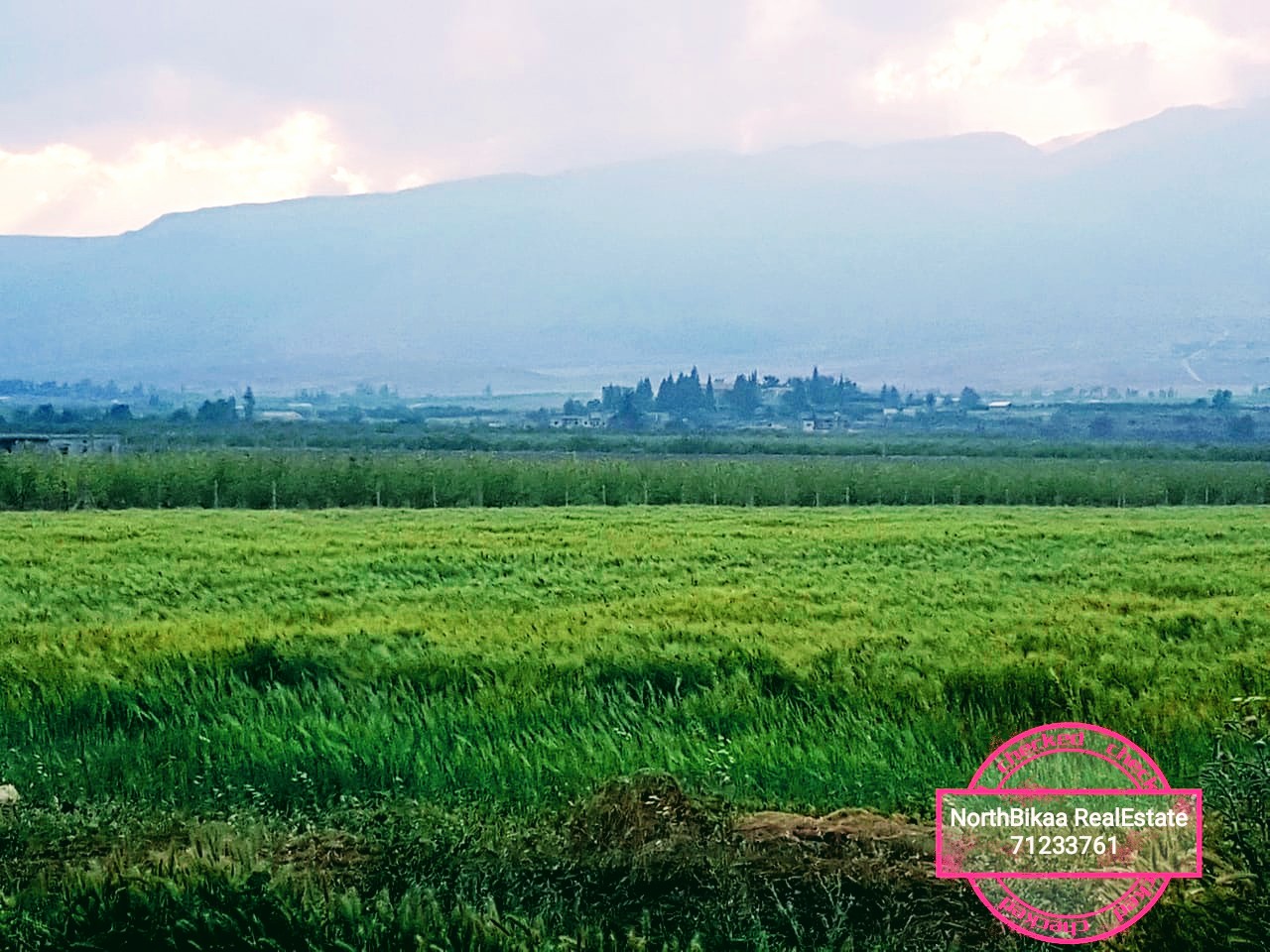 أراضي لقطة إبتداءً من 3 دولار للمتر